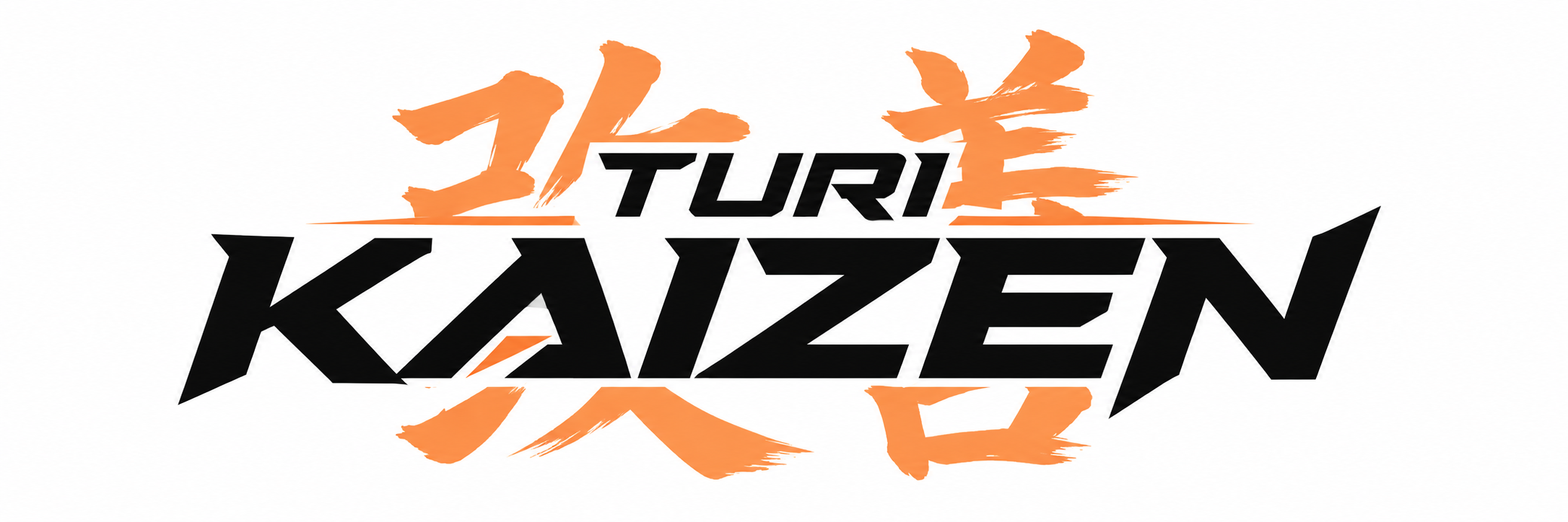 Turi Kaizen