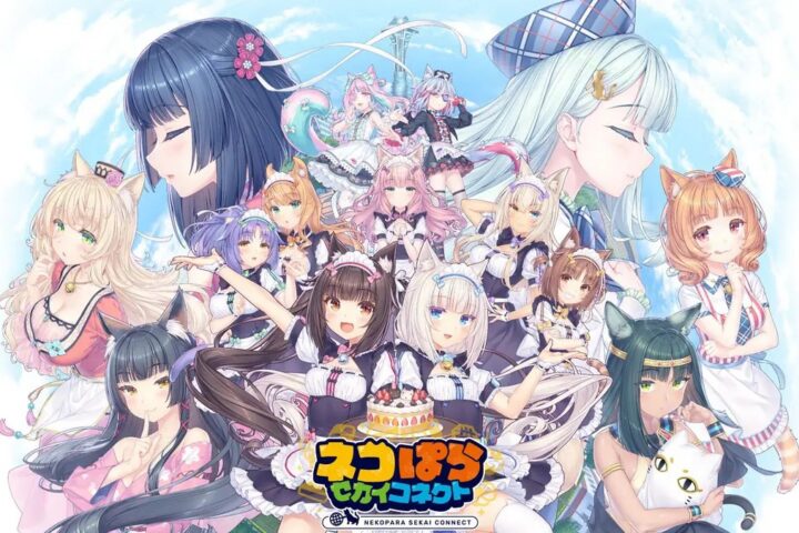 Arte oficial do anúncio da versão para Steam de Nekopara Sekai Connect