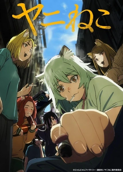 Capa de Chainsmoker Cat