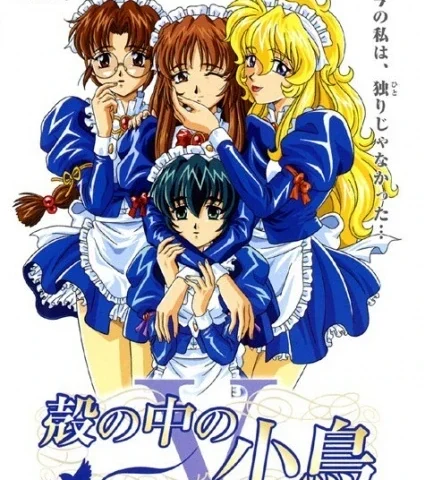 Capa de The Maiden Diaries