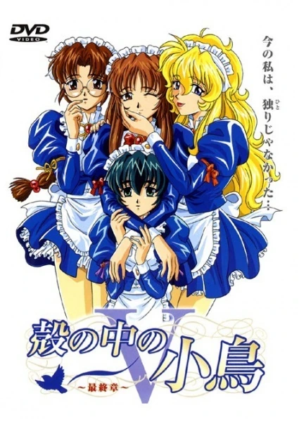 Capa de The Maiden Diaries
