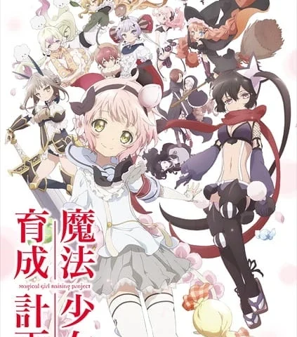 Capa de Magical Girl Raising Project