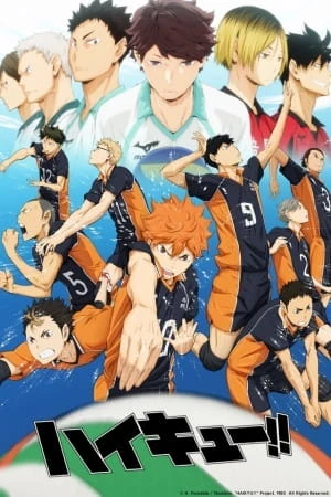 Capa de Haikyu!!